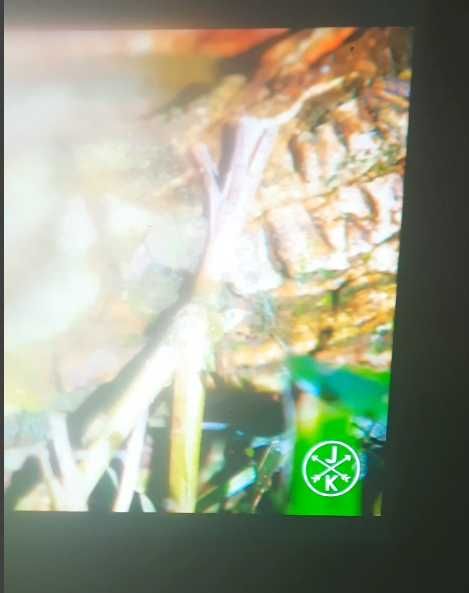 Proiector profesional NEC ME382U si panasonic