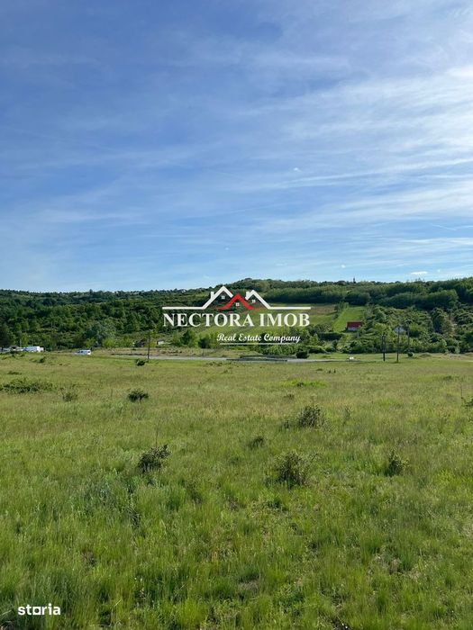 NECTORA IMOB-Teren Intravilan Baile Felix-Usa Oil, 8603 mp, Iesire DN