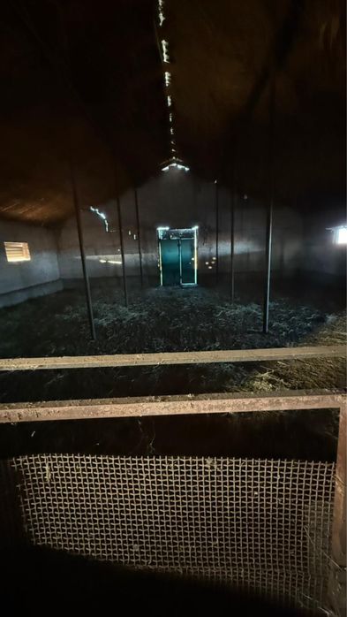 Қора арендаға беріледі