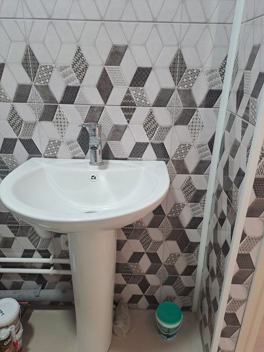 Раковина тюльпан