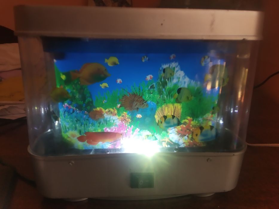 Tungi chiroq akvarium