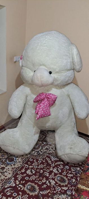 Kattakon momiqqina ayiq