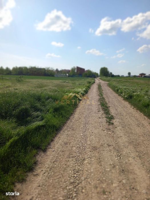 Teren loturi parcelate ( RATE )-Berceni/ Vidra Ilfov