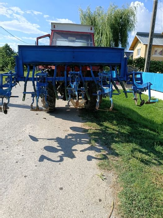 Vând prasitoare cu fertilizare