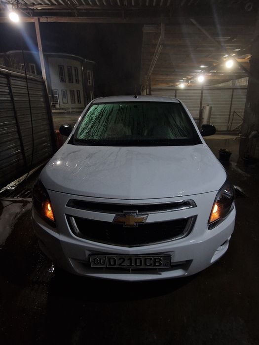 Cobalt midnight 2025 Aprel