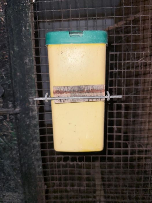 Adapatori Apa Iepuri