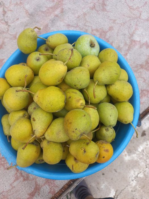 Продам дачу Телецентр