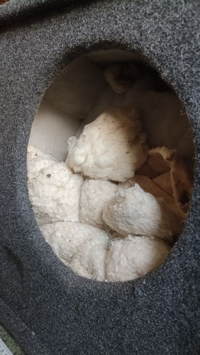 Корпус сабвуфера