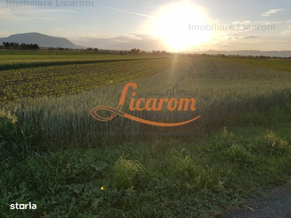 Teren Stupini Calea Feldioarei 4600 mp,21 euro/mp, front la asfalt