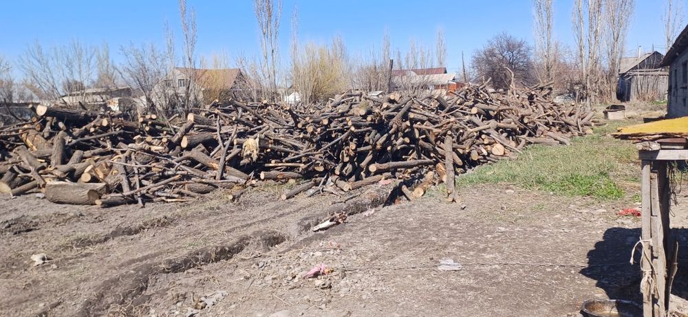 Продам на дрова чурки пилинные