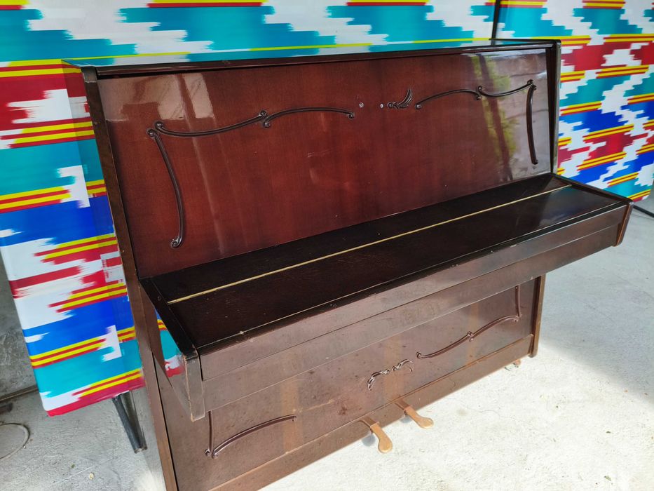 Pionina zara sotiladi