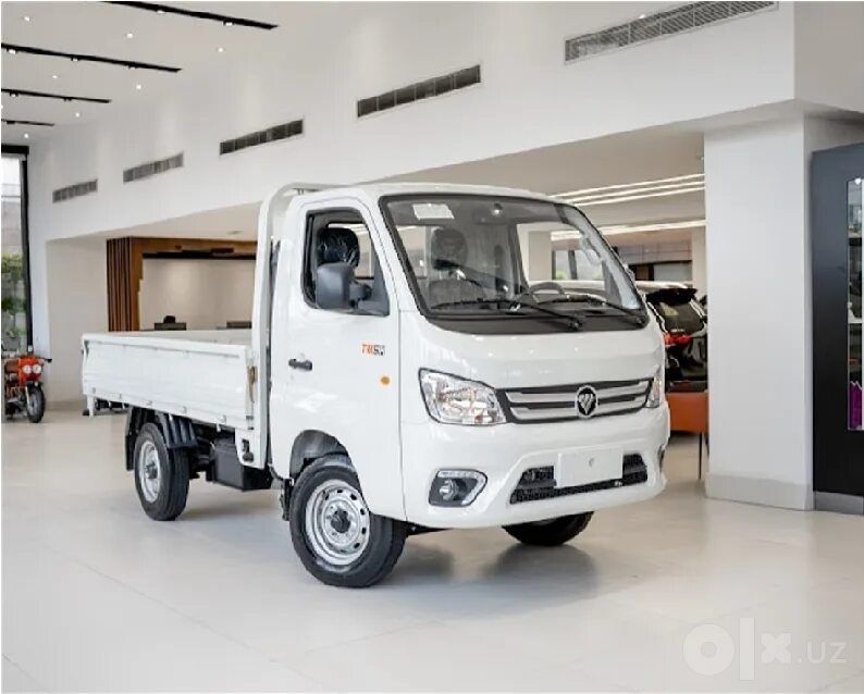 FOTON TruckMate-1