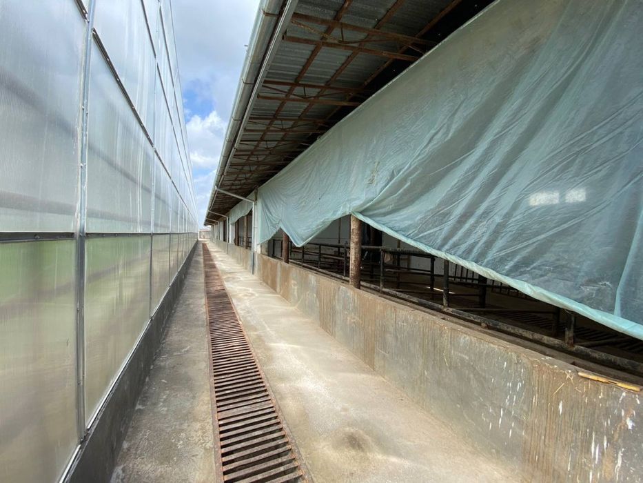 СРОЧНО Продаётся готовый бизнес Теплица