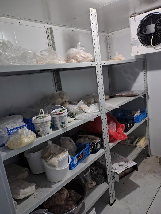 Продам морозильную камеру.