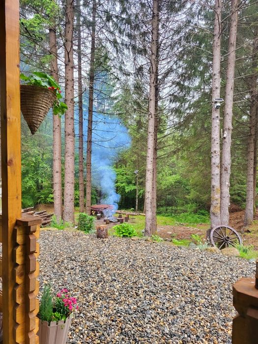 Cabana la munte, pe Valea Moasei, în apropiere de Sibiu