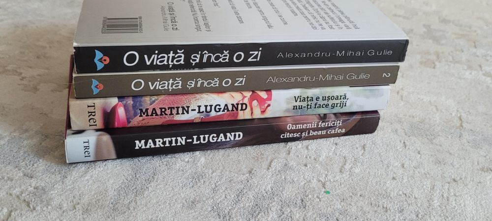 Cărți Martin Lugand