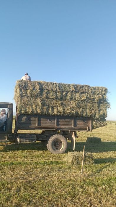 Садовое сено разнотравие