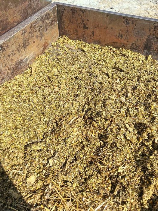 Silyos jaguar Силёс