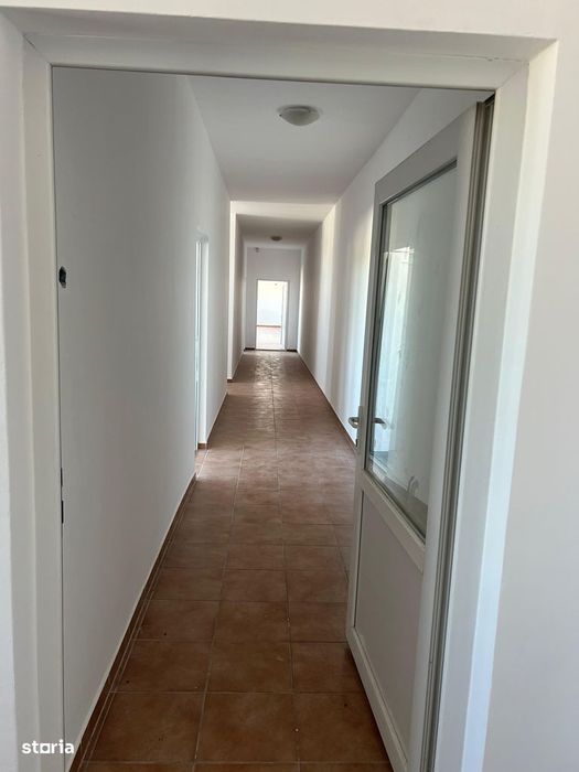 Centru comercial, spațiu comercial de închiriat în Carei, 50-1034mp
