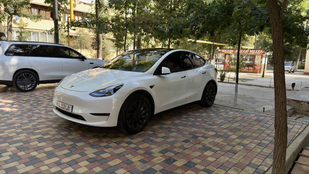 Tesla Model Y Perfomance 2024