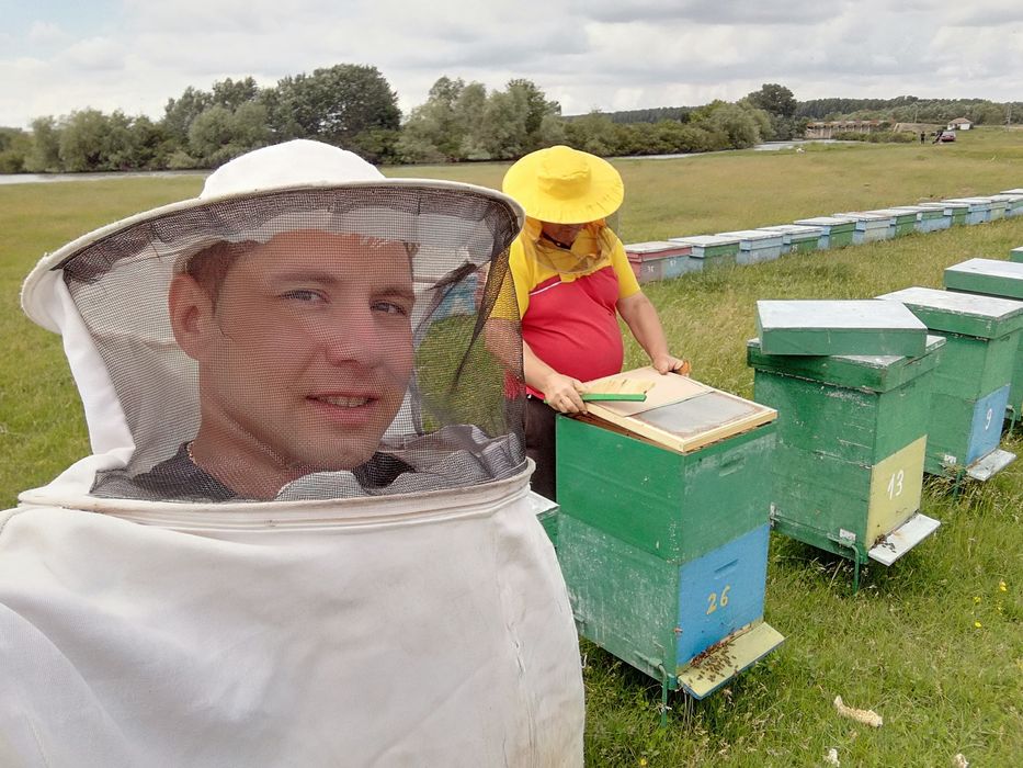 Miere de albine poliflora