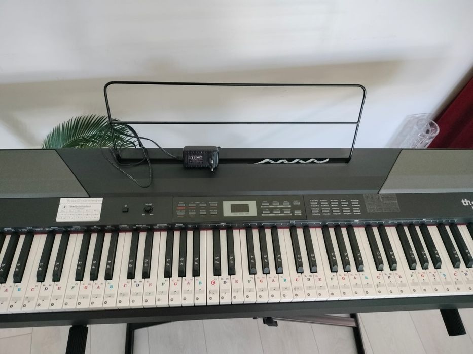 Orga digitala ThomannDP-26