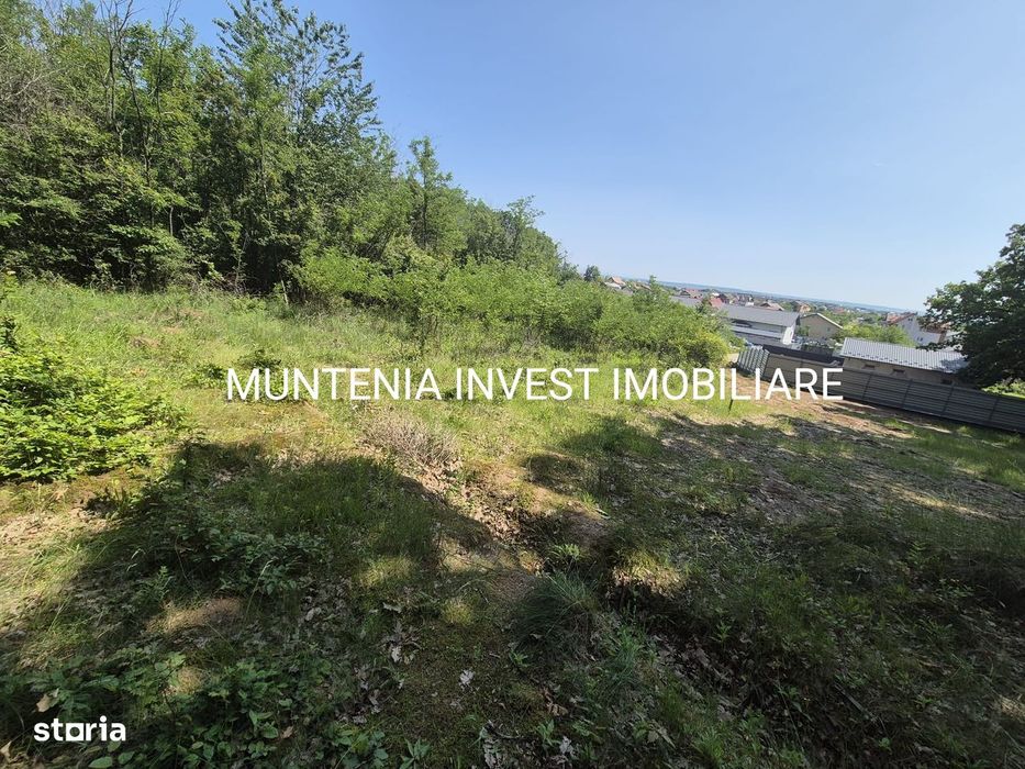 Teren intravian de 1159 mp ,Smeura