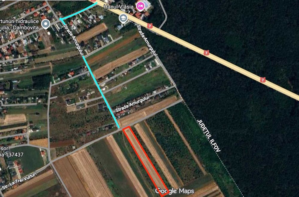 Loturi Teren GULIA Dambovita / 6 Loturi / 545mp