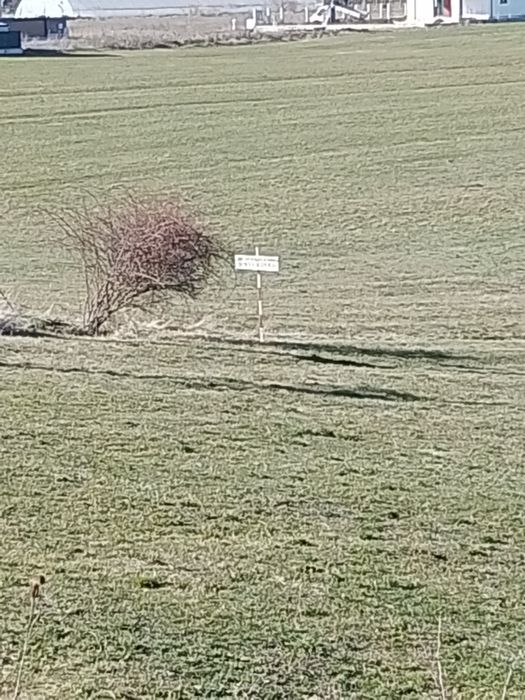 Vand teren intravilan  Florești luna de sus  Cluj