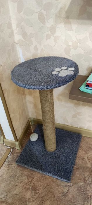 Когтеточка для кота