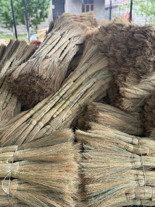 Веники сыпырғы сорго