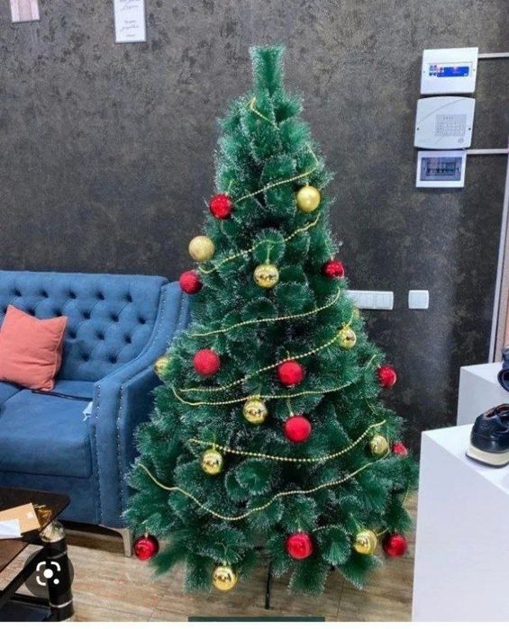 Ёлка Ёршик  Арча