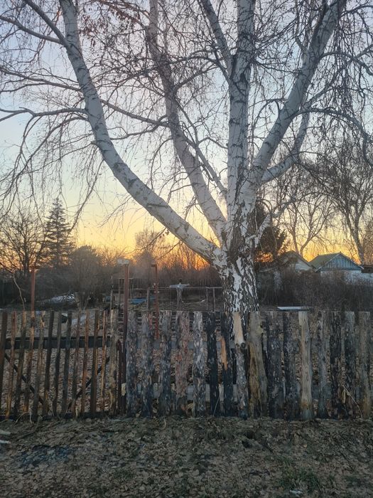 Продам дачу Сад Здоровье