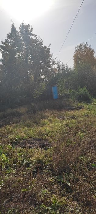 Продам дачу. Недорого.