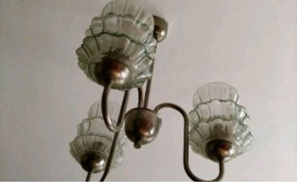 Полилей - тройка.