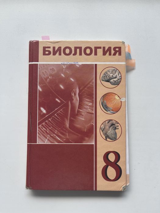 Интернеттегі ең әдемі порно жоғары сапалы