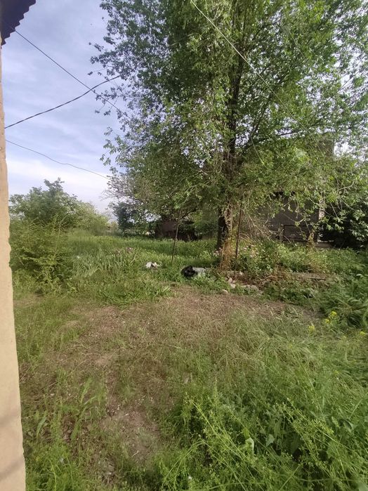 Продам дачу северо-западнее пос.Байсерке(30-й км.).Улица Асар.