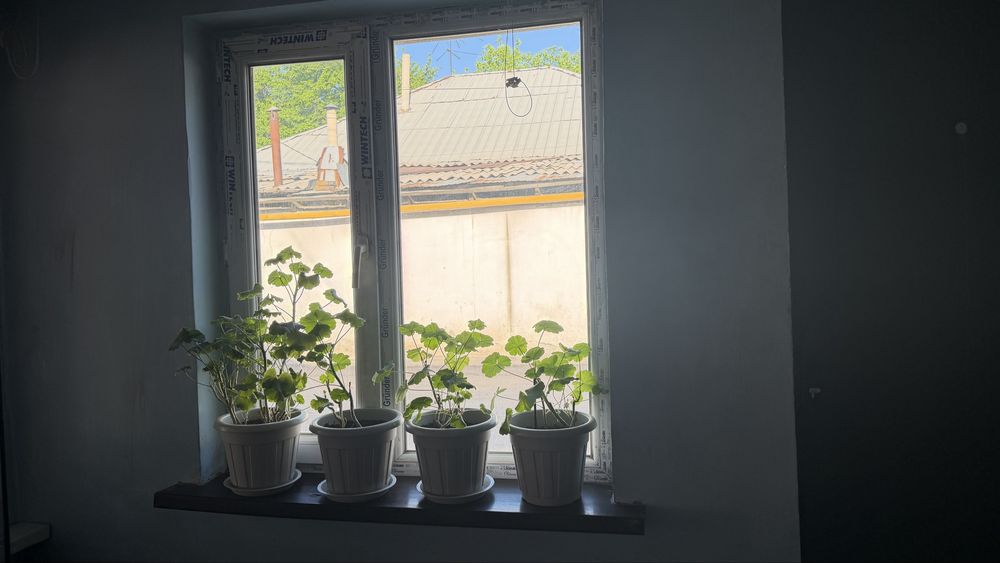 Квартира помесячно / долгосрочно
