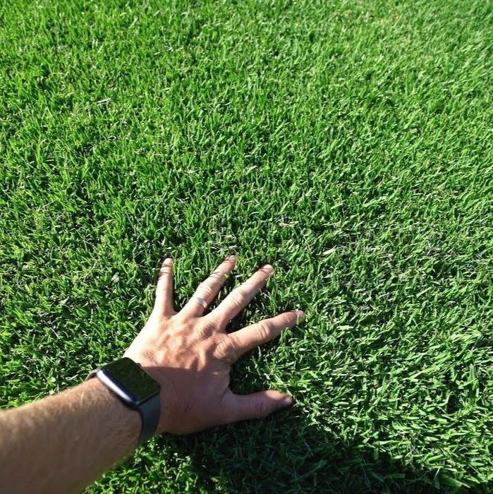 Газон екиш хизмати тайо рулоник gazon ekish hizmati yevro gazon