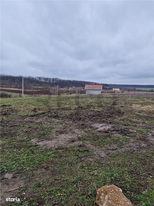 Teren intravilan cu proiect de casa in Pausa.