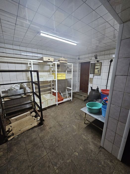 Продам дом с колбасным цехом