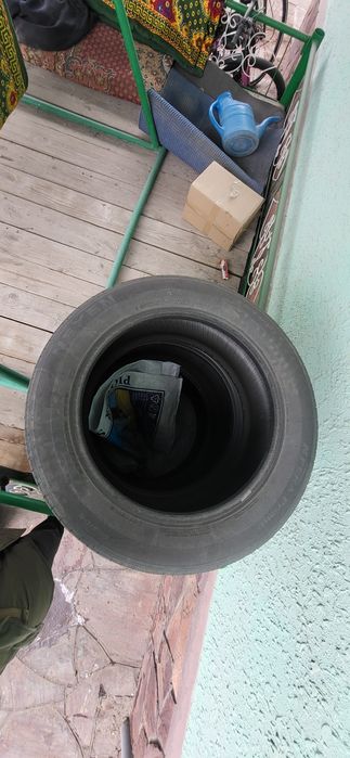 Летние шины nexen R18