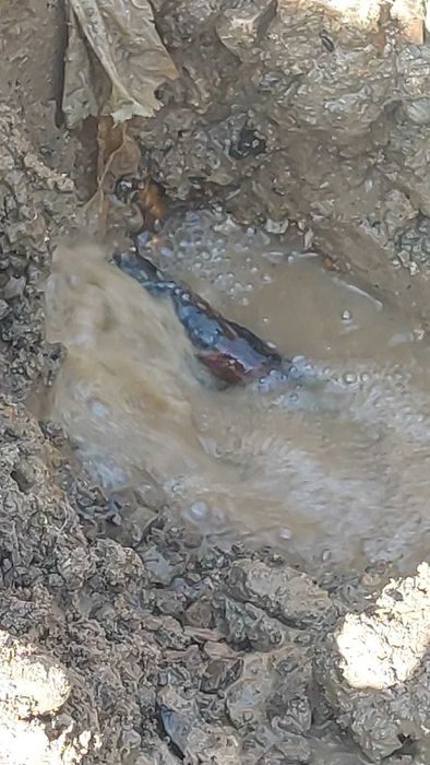 Identificare pierderi de apa, localizare scurgeri ascunse