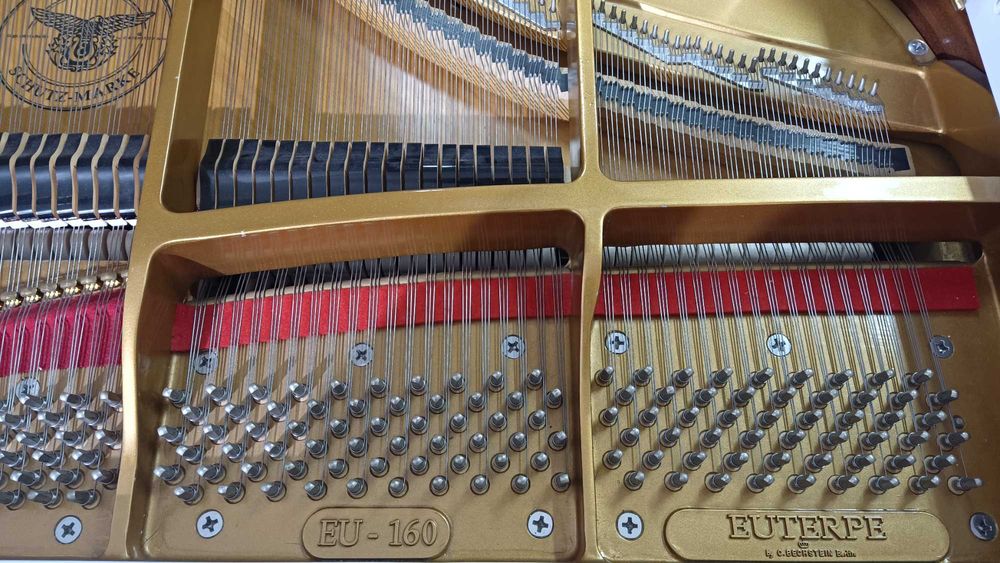 Vand pian Euterpe by C. Bechstein (ca nou)