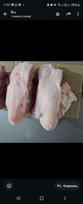 Фаланги Крыла для  собак