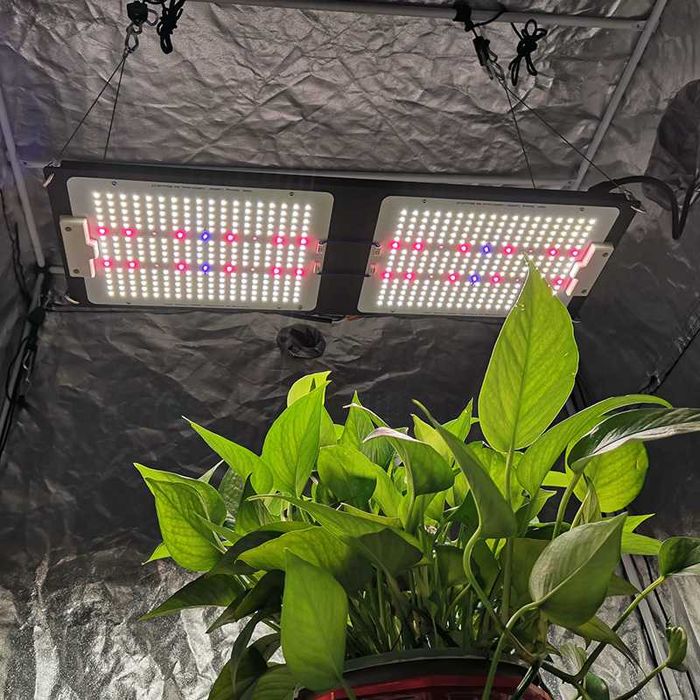 Quantum board 240W Samsung lm301h+Osram660+UV+IR