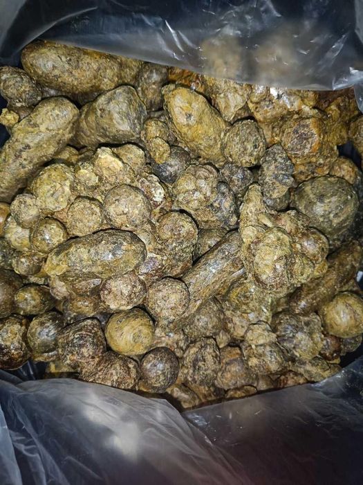 Propolis brut de calitatea