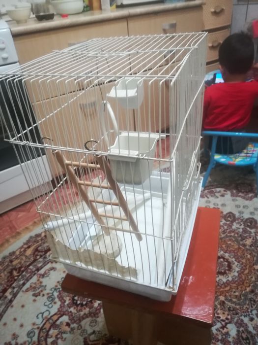 Клетка для Птиц..