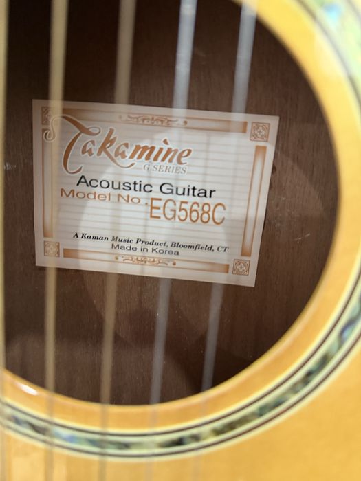 Takamine электро гитара сост идеал