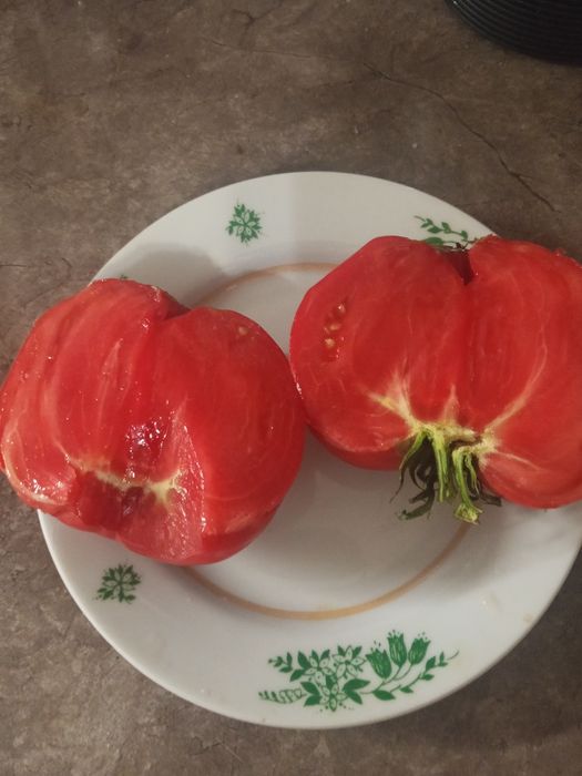Продаю домашние помидоры